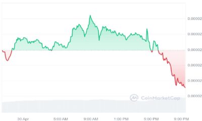 SHIB Crypto 1 Day Price Graph