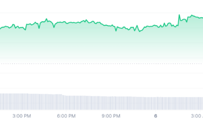 Bozo price chart