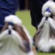 Westminster Kennel Club: At the 148th show, a display of dogs and devotion