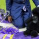 Westminster dog show 2024: Sage, a Miniature poodle, wins top prize