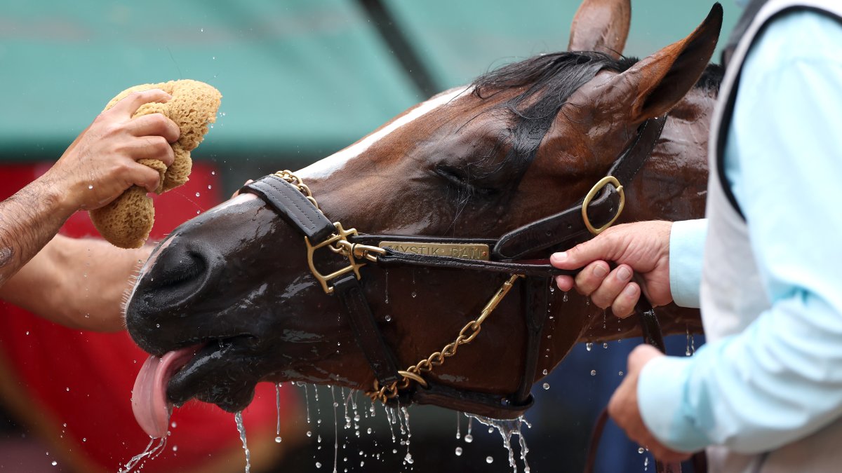 What time Preakness 2024 starts and horses to watch – NBC New York