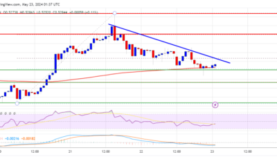 XRP Price