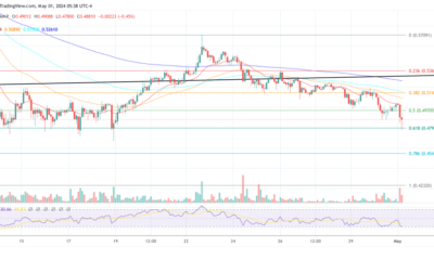 XRP price