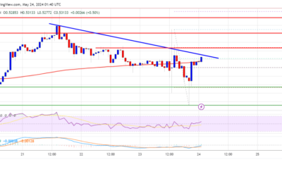 XRP Price