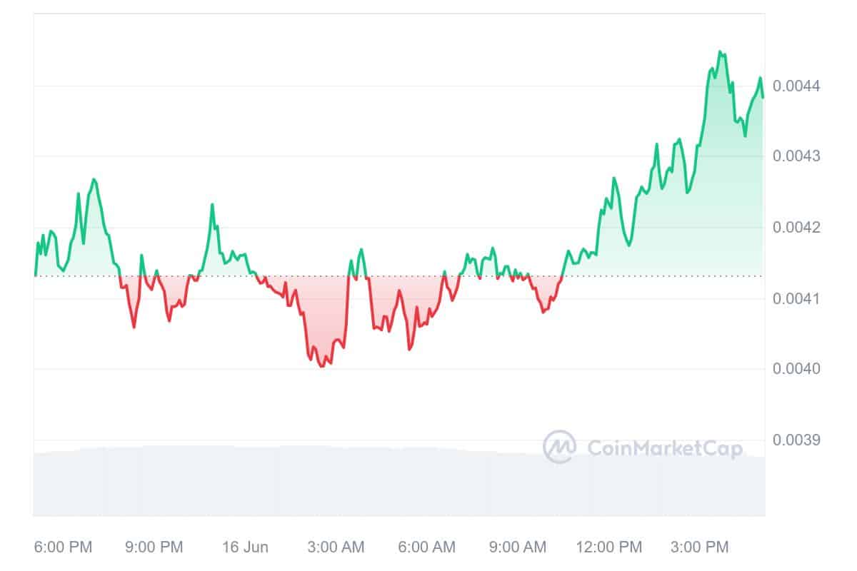 cat in a dogs world Price Chart