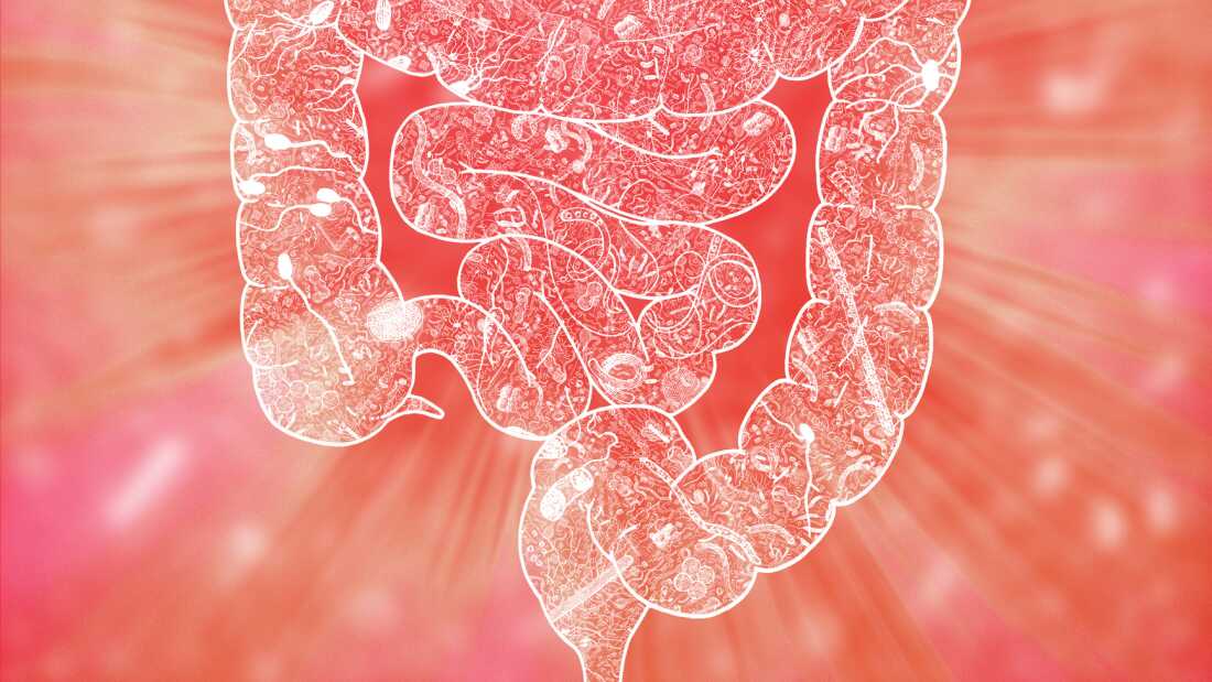 An illustration of the human microbiome. The bacteria in our gut may influence our mental health, research finds.