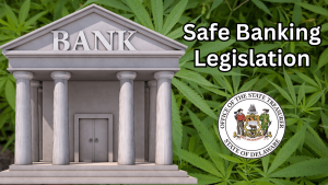 Graphic of a bank building in front of a background of marijuana plans. Also includes the words 