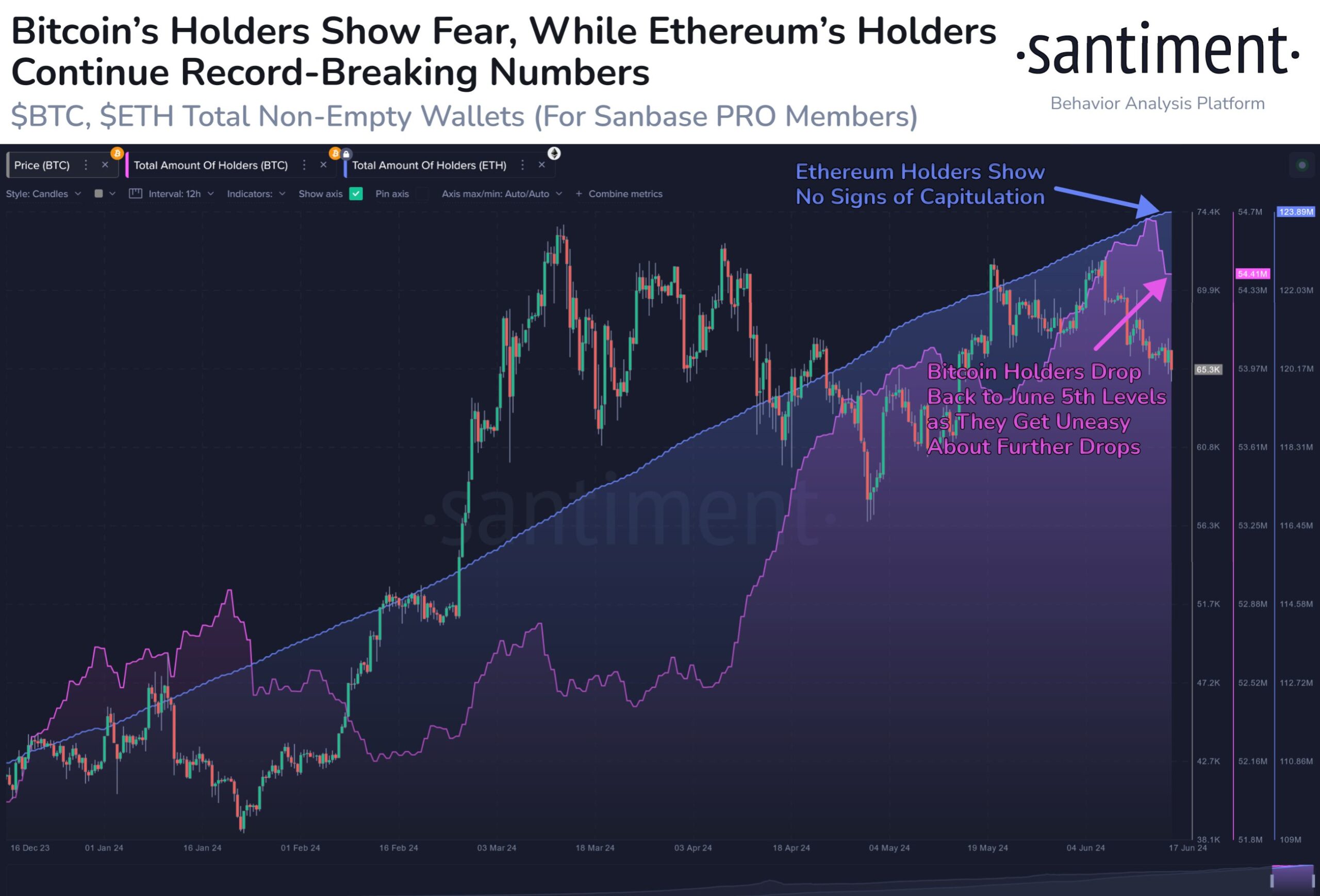 Bitcoin Total Amount of Holders