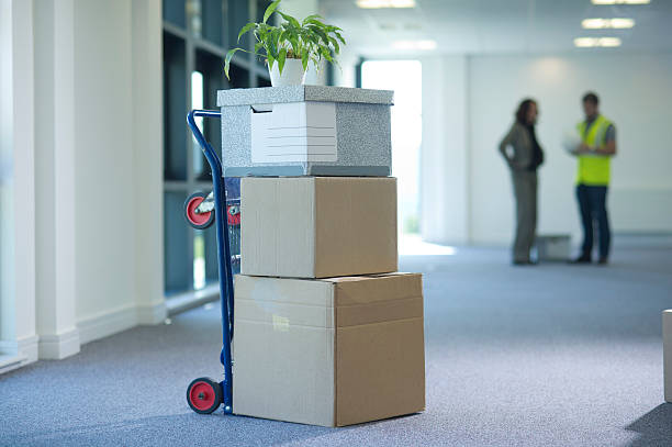 Hire a Professional Moving Company For Your Relocation