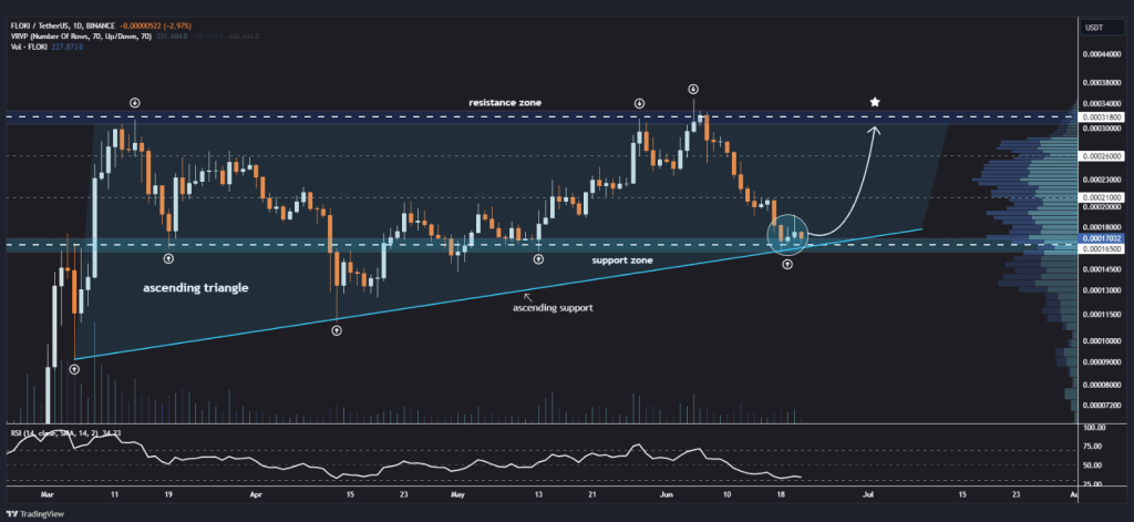 Social Media Sends Coin On 300% Rip