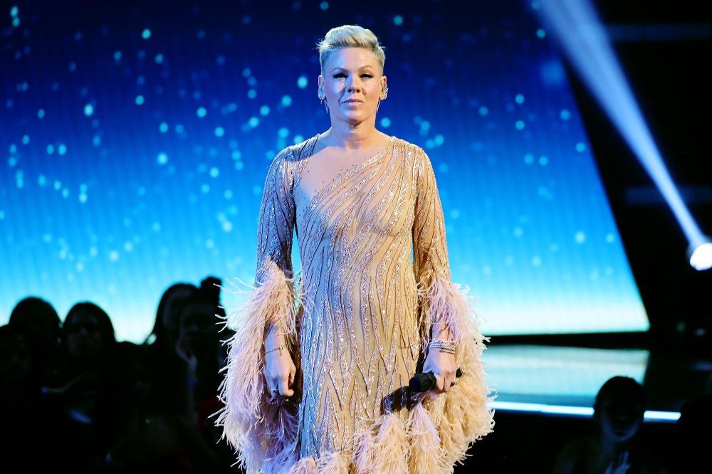 Pink Apologizes for Canceling Her Show: ‘I’ve Been Advised That I Am Unable to Continue’