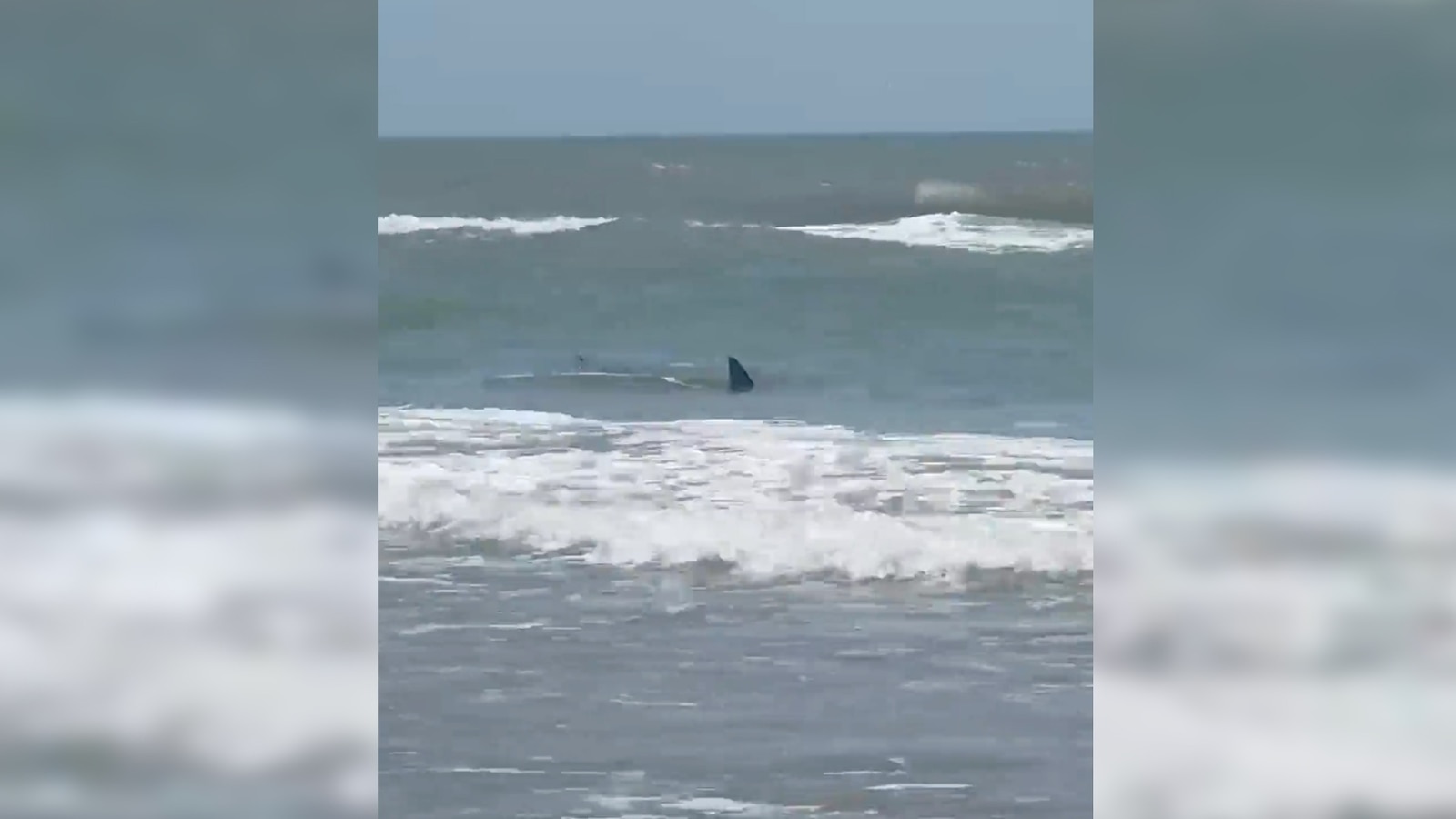 Shark believed to have injured 4 people in waters off South Padre Island on Fourth of July