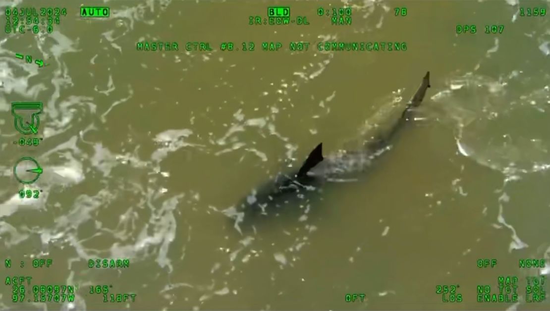 A Texas Department of Public Safety helicopter flying low over South Padre Island spotted a shark in the waters after the attacks on July 4.