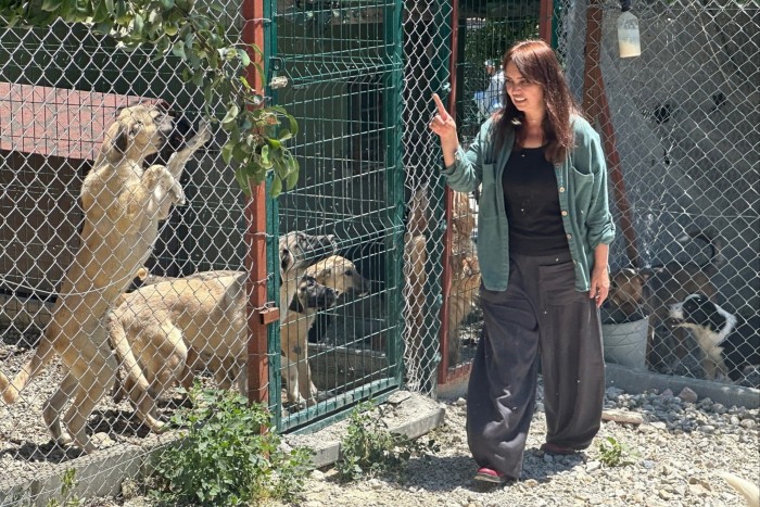 Gülüzar Çıtak pictured with some stray dogs at a shelter