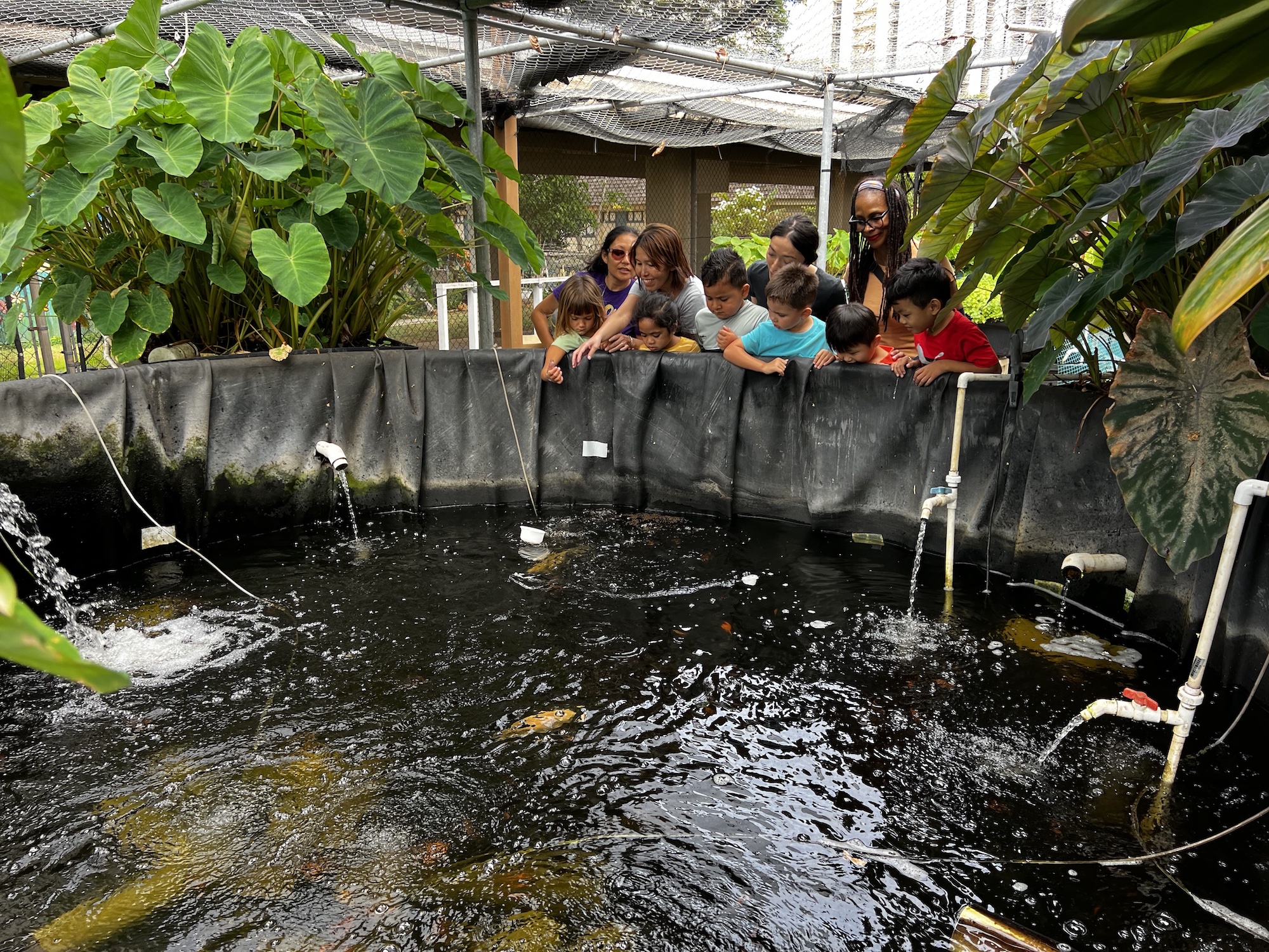 Catherine Toth Fox: This Principal Made A Community Centered On Raising Fish And Vegetables