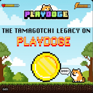 PlayDoge