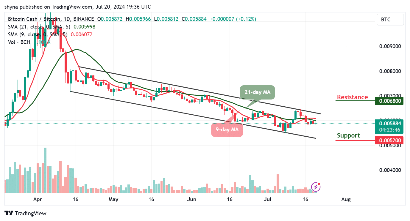 Bitcoin Cash Price Prediction for Today, July 21 – BCH Technical Analysis