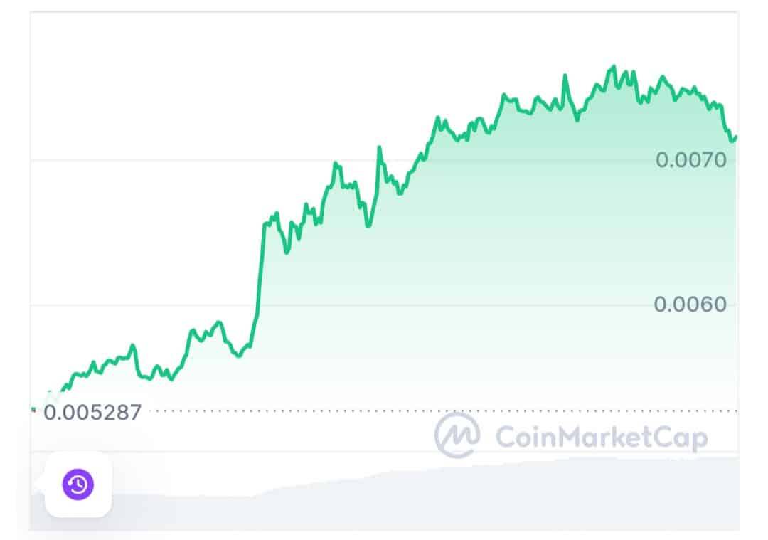 cat in a dogs world price chart