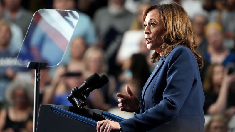 A GOP congressman called Kamala Harris a ‘DEI hire.’ Some caution it’s a sign of what’s to come