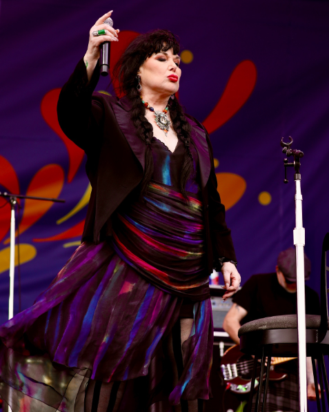 Ann Wilson Heart