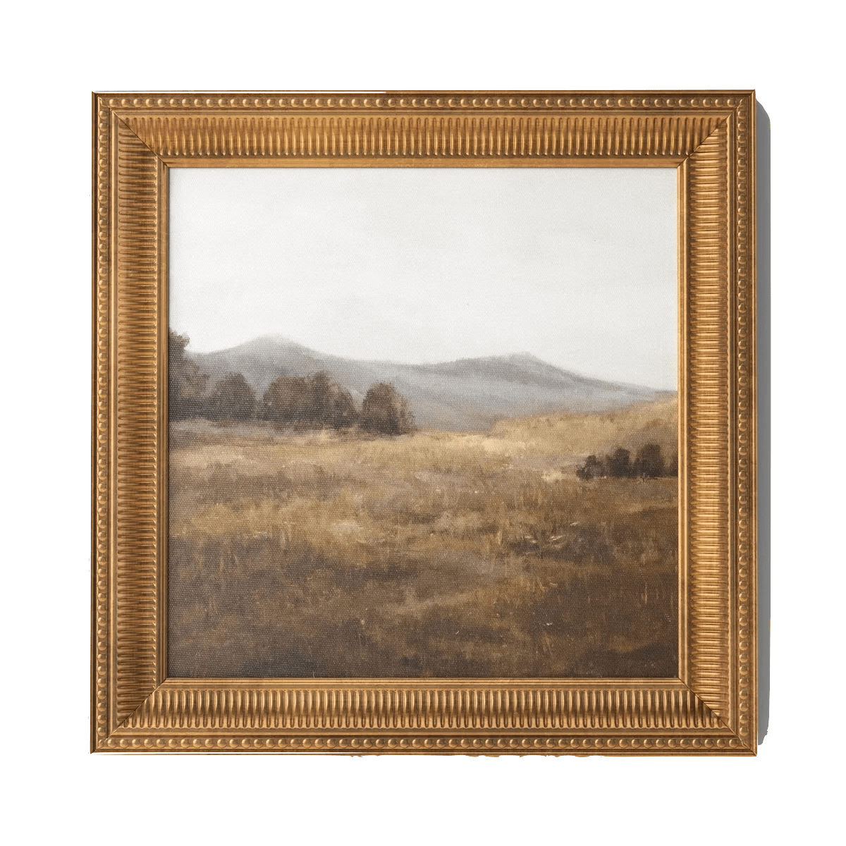 Threshold Prairie Land Framed Canvas