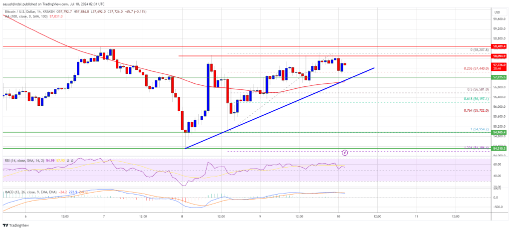 Bitcoin Price