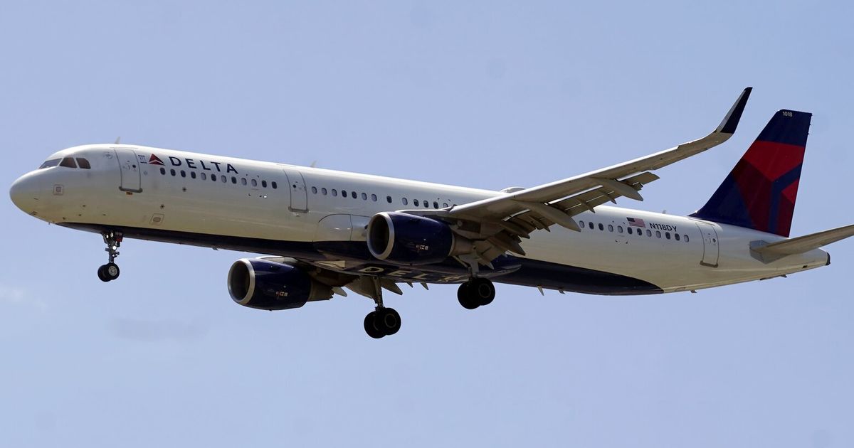 Delta apologizes for social posts criticizing flight attendants wearing Palestinian flag pins