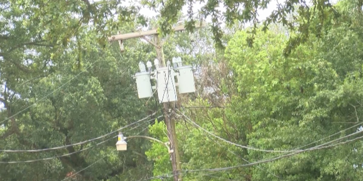 Entergy tree-trimming to start Tuesday, weather permitting