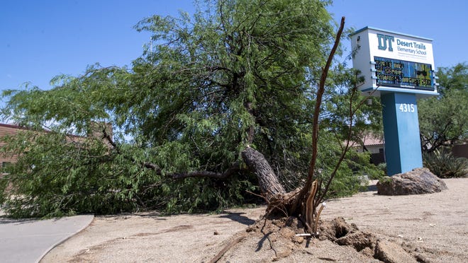 Flash flood warning issued for Coconino County