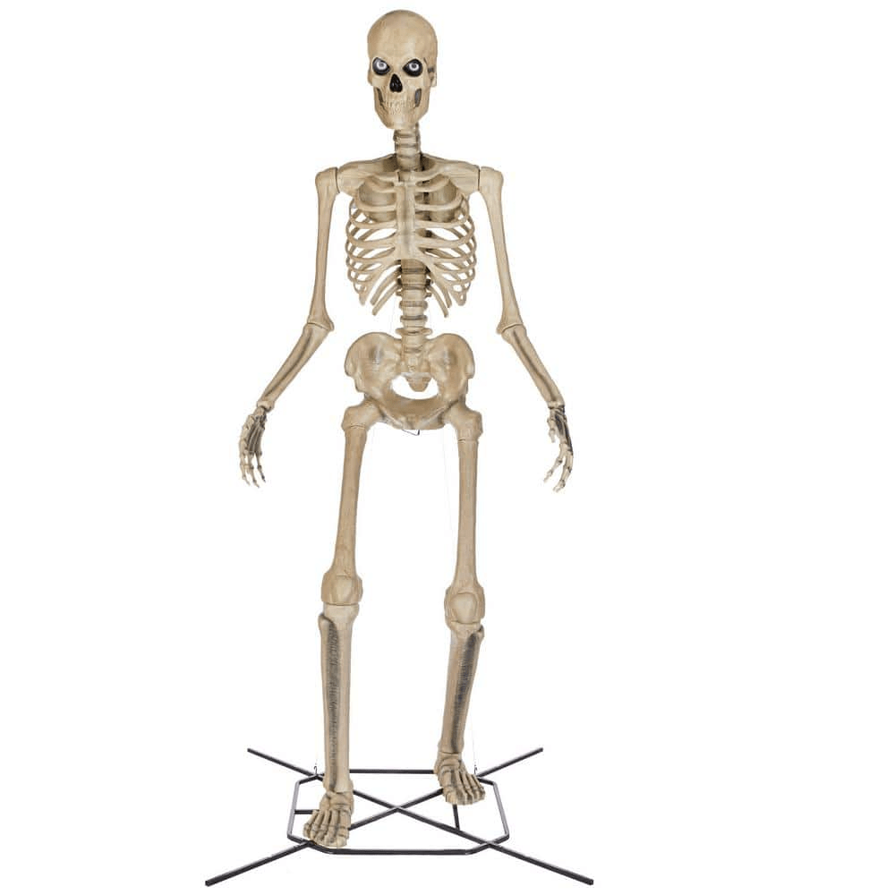 Home Accents Holiday 12 ft. Skelly Skeleton Figure