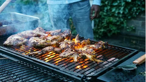 How to Choose the Perfect Barbecue Grill for Your Backyard