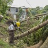 Pastor Winston Alleyne clears trees felled by Hurricane Beryl in Ottley Hall, St. Vincent and the Grenadines, Tuesday, July 2, 2024.