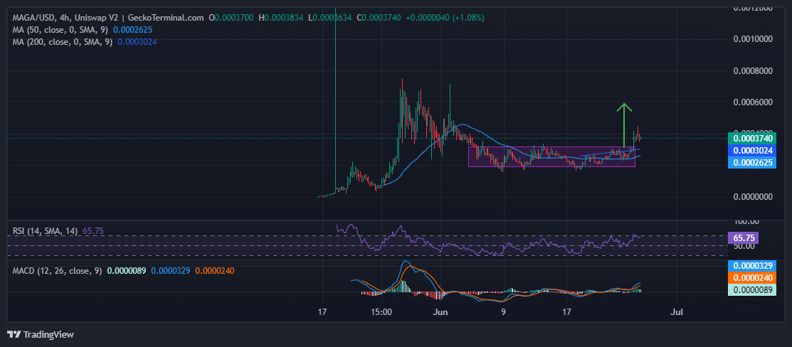 MAGA PRICE Chart Analysis Source: GeckoTerminal.com