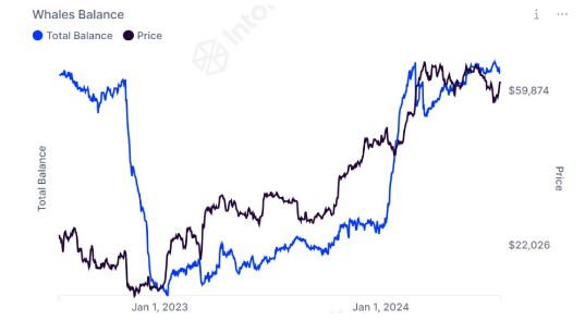 Mega Whale Holdings Hit Highest Levels In Two Years