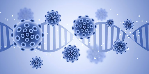 MicroRNA Quantification