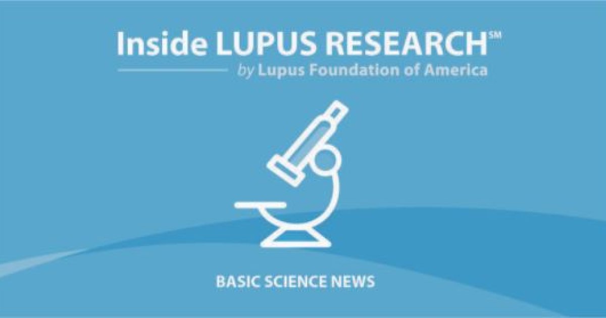 New Research Finds Cells May Cause Systemic Lupus Erythematosus and Possible Approach for Disease Reversal