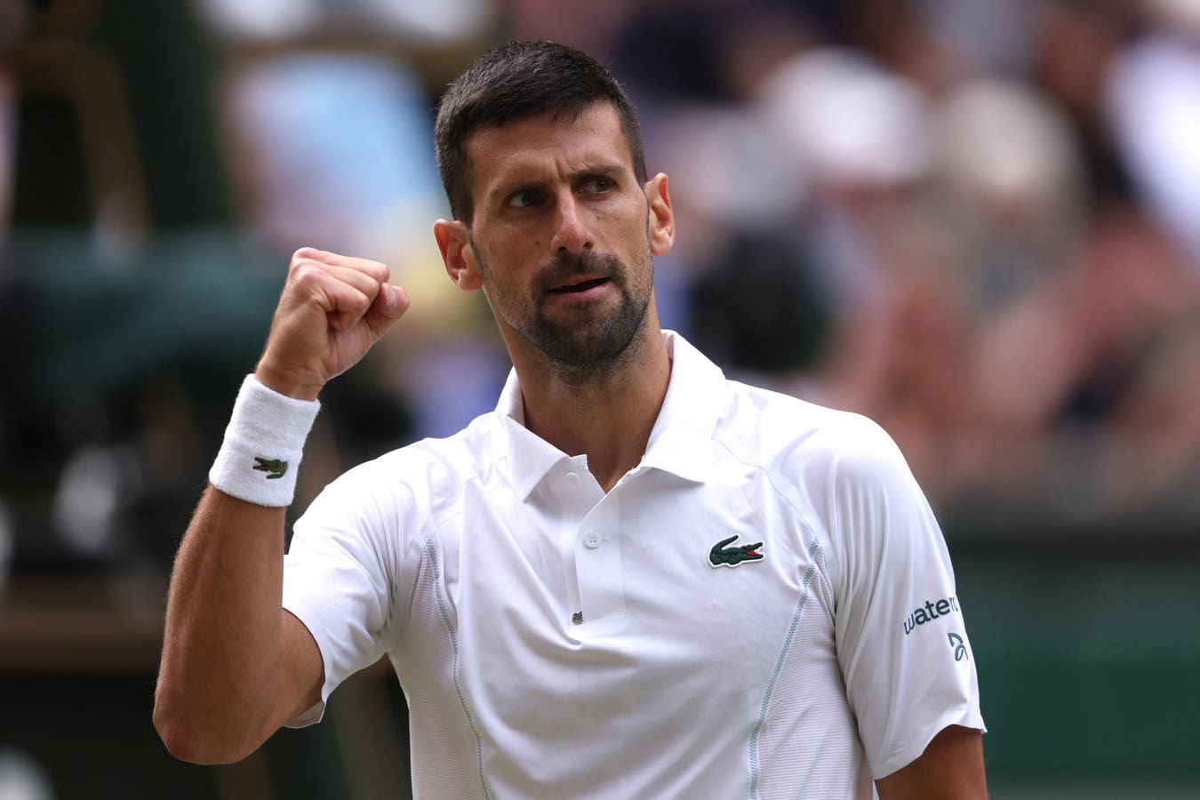 Novak Djokovic To Play For Record 25th Major Title In Wimbledon Rematch Against Carlos Alcaraz