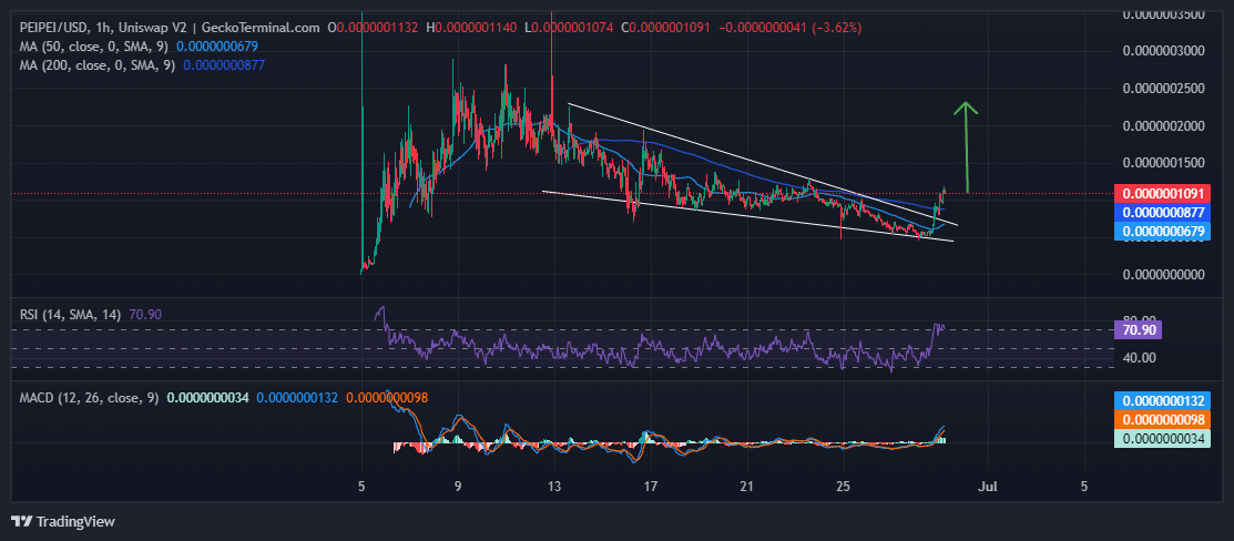 PeiPei Price Chart Analysis Source: GeckoTerminal.com
