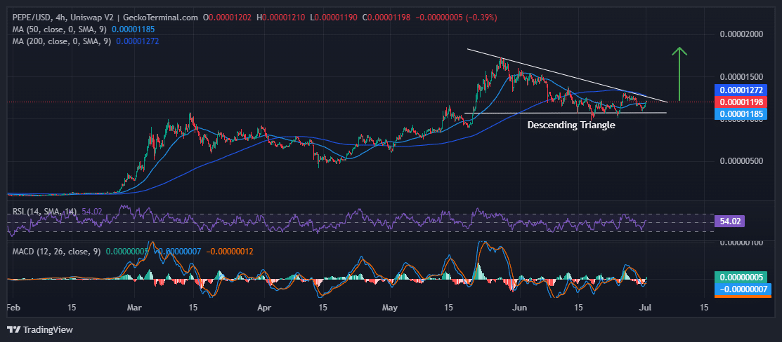 Pepe Price Chart Analysis Source: GeckoTerminal.com