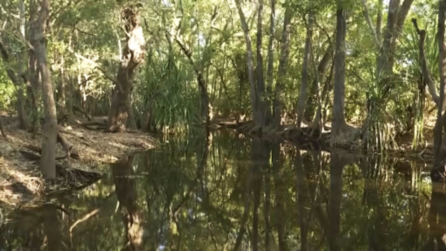 Police find remains of girl snatched by a crocodile while swimming in northern Australia