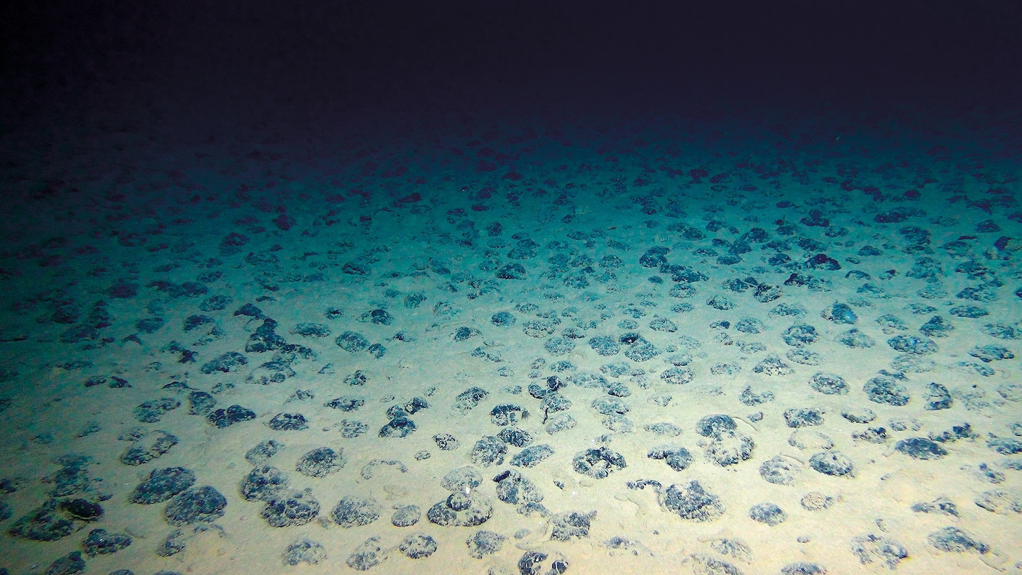 Scientists find ‘dark oxygen’ produced without light in deep ocean