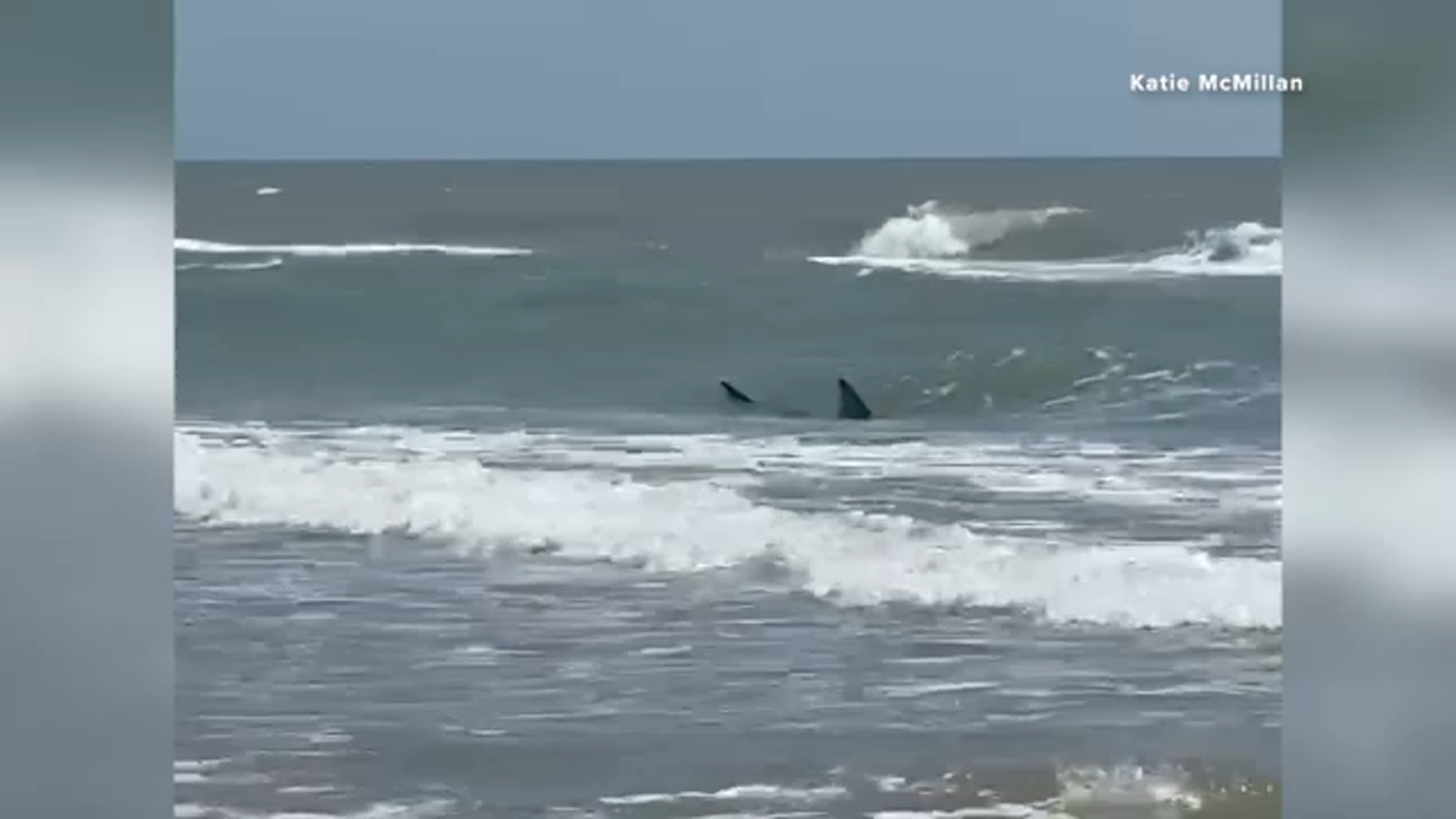 South Padre Island shark incident leaves 4 injured, at least 2 bitten, authorities say