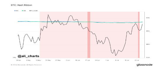 Technical Indicators Show Strong Bitcoin Bullishness