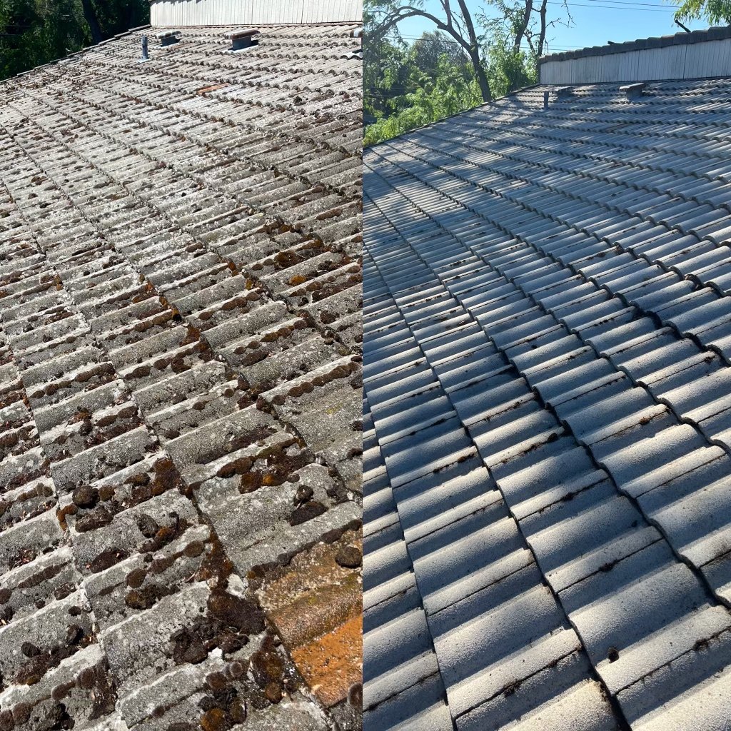 The Art of Roof Cleaning: Achieve Professional Results at Home!