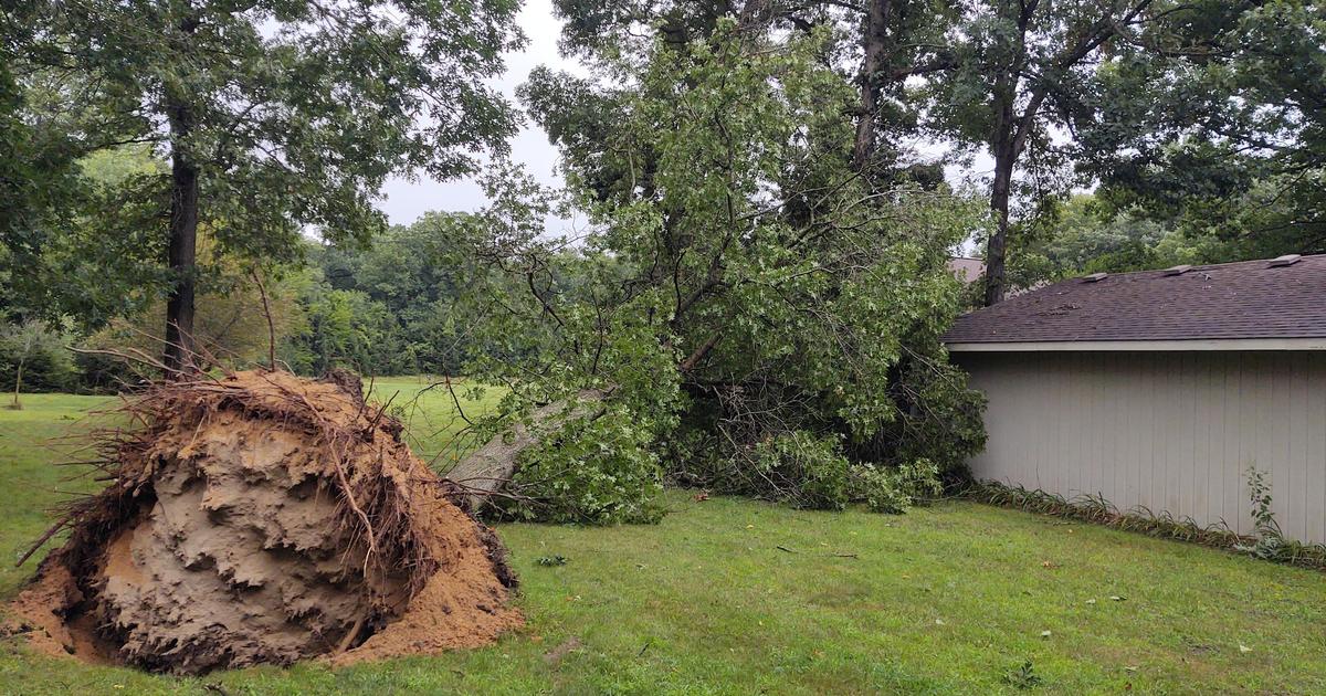 Widespread damage after multiple tornadoes reported in Chicago metro area