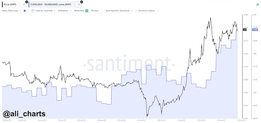 XRP 1