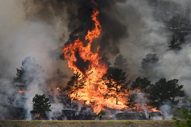 Firefighters work on fighting the Alexander Mountain Fire that continues to burn near Sylvan Dale Ranch west of Loveland on July 30, 2024. (Photo by Helen H. Richardson/The Denver Post)