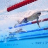 Caeleb Dressel is the Olympic record holder in the men's 50 meter freestyle race. In Friday's finals in Paris, Dressel failed to reach the podium. He's shown here in the men's 4x100m freestyle relay final on day one of the Paris Summer Games where he won a gold medal.