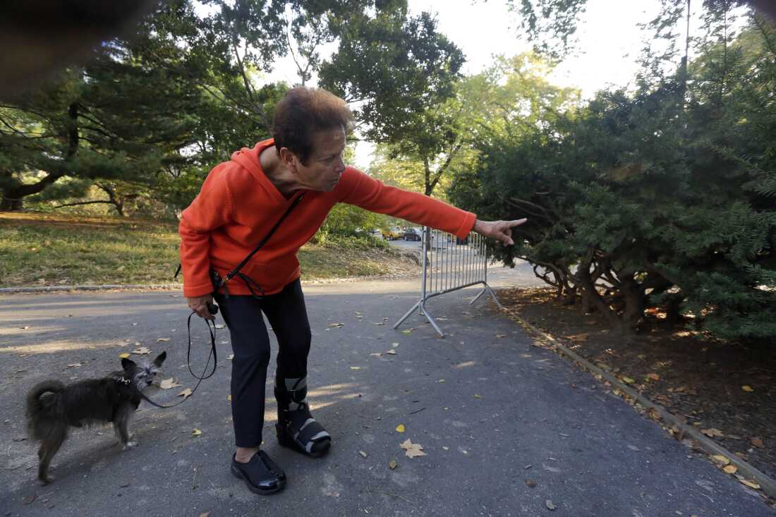 Florence Slatkin, with her dog Paco, points to the spot where she and a friend discovered a dead bear cub in New York's Central Park in October 2014.