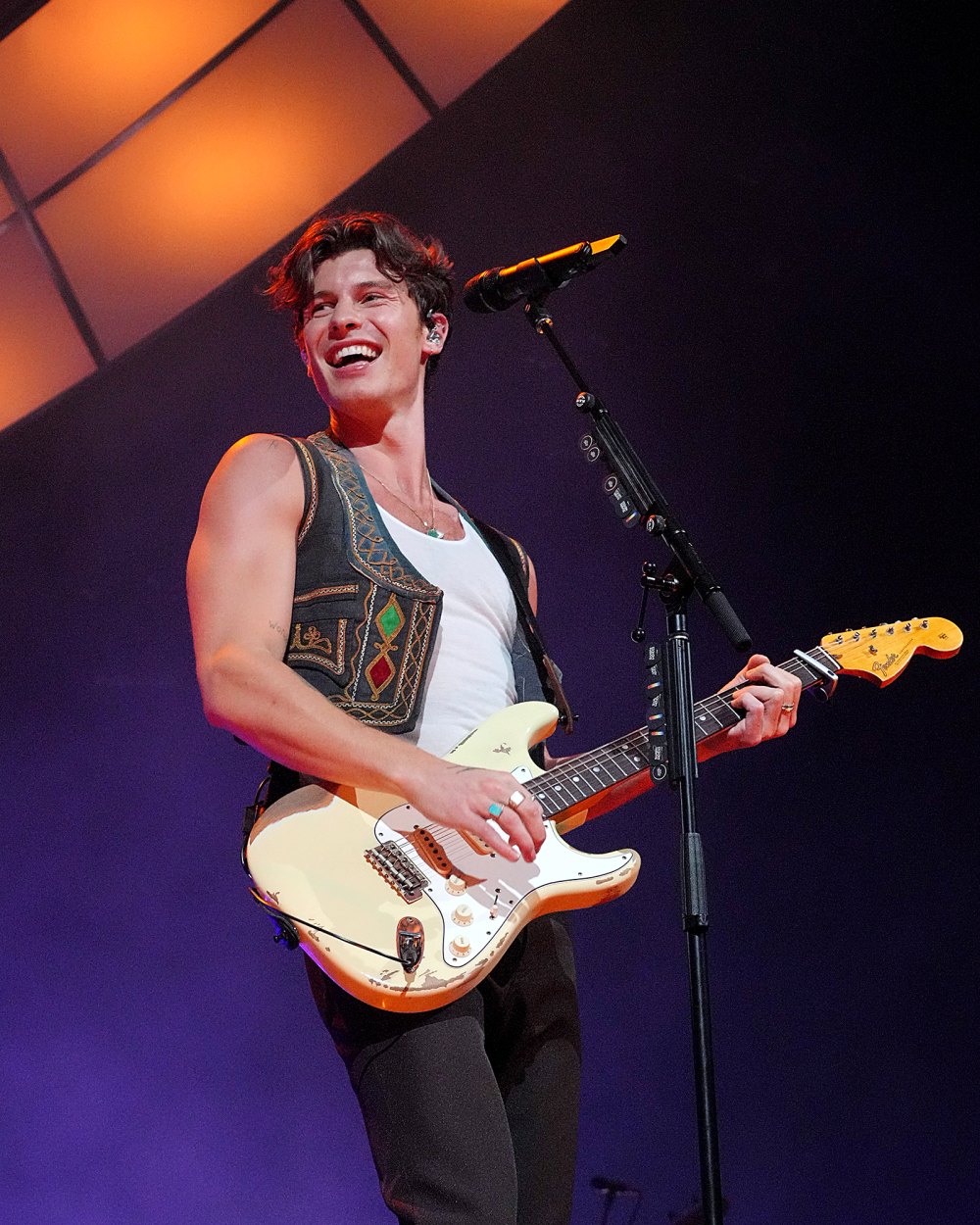 Shawn Mendes Hints I Was About to Be a Father in New Song